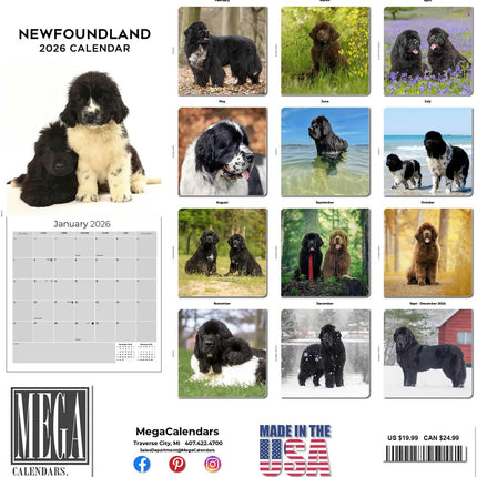 Newfoundland Calendar 2026 – 16-Month Dog Breed Wall Calendar by MegaCalendars – Large Daily Blocks, Thick No-Bleed Paper, Made in USA