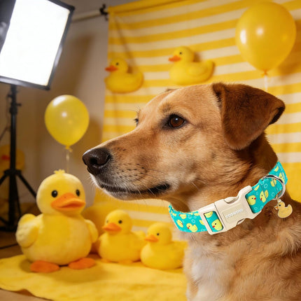 DOGWONG Ducky Pattern Cute Collar, Spring Summer Female Male Collars Pets Gift Adjustable Heavy-Duty Duck Pet Collars for Small Dogs, Neck 11-16 inches