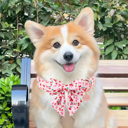 Spring and Summer Dog Collar with Bow Tie, Cherry Bowtie Collar Adjustable for Girl Boy Dog, Spring Pink Bow Collar for Dogs, L