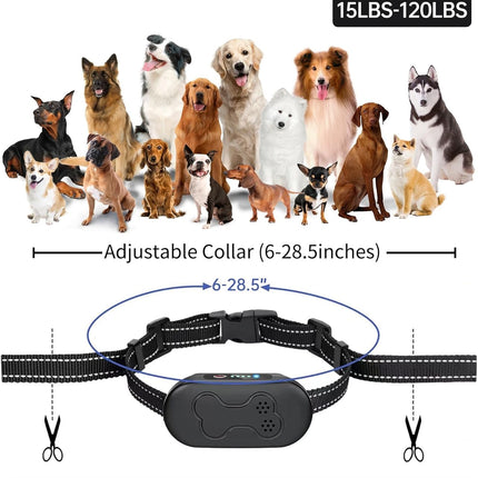 Dog Training Collar with Remote, Waterproof IPX7 E Collar for Dogs, Beep and Vibration Modes, Safe and Humane Training, 2000FT Range, Rechargeable, Fits Small Medium Large Dogs 15–120 lbs (Gray)
