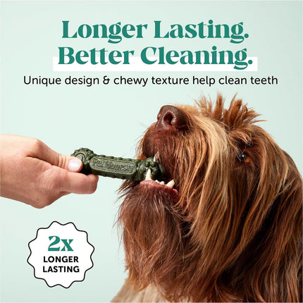 Pet Honesty Brush Buddies All Natural Dog Dental Treats for Dogs – Long Lasting Dental Sticks for Dogs, Teeth Cleaner, Breath Freshener, Plaque & Tartar Remover – Medium Sized Dogs (15 Count)