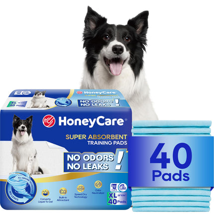 All-Absorb, Pequeño 17.5" x 23.5", 120 Unidades, Tapetes de Entrenamiento para Perros y Cachorros, Ultra Absorbentes y Eliminadores de Olores, Tapetes de Entrenamiento para Baño de 5 Capas a Prueba de Fugas con Superficie de Secado Rápido, Azul, A05