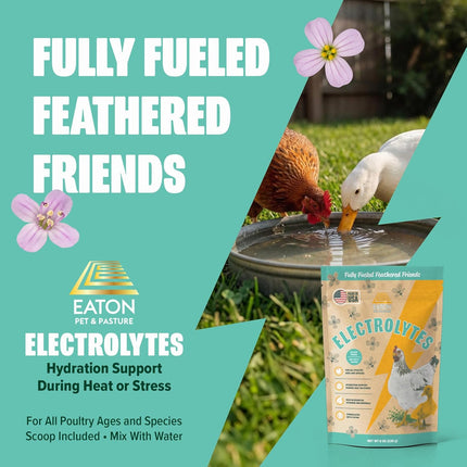Eaton Pet & Pasture Poultry Electrolytes Powder for Chickens & Chicks – Hydration & Stress Support Supplement with Vitamins, Minerals & Amino Acids – Electrolyte Mix for Backyard Poultry Flocks