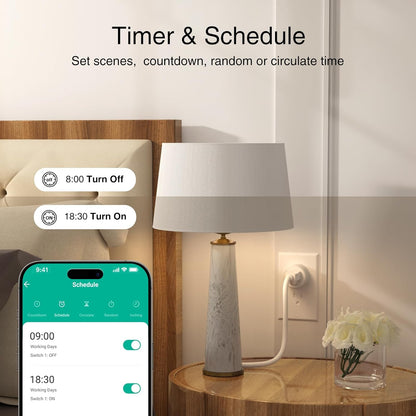 Wi-Fi Smart Plug with App Remote Control and Timer - photo 4