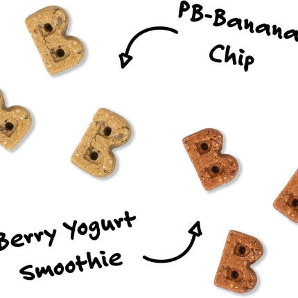 Bocce's Bakery PB Banana Chip + Berry Smoothie Dog Treat Bundle – Natural, Wheat-Free Soft & Chewy Cookies Made with Real Ingredients and Baked in The USA – 2 Pack Bundle