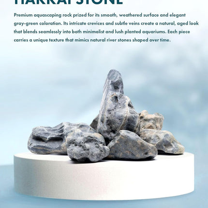 SubstrateSource Natural Aquarium Stones - Bug-Eaten, Pahai, Dark Bluish Green Decorative Aquascaping Rocks for Betta Fish Tank, Cichlids, Shrimp, Hermit Crab & Reptile Enclosure - Hakkai, 10 LB