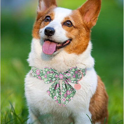 St. Patrick's Day Dog Collar with Bow Tie, Lucky Shamrock Bowtie Collar Adjustable for Girl Boy Dog, Trefoil Dog Collar Durable, Spring Green Collar for Dogs, M