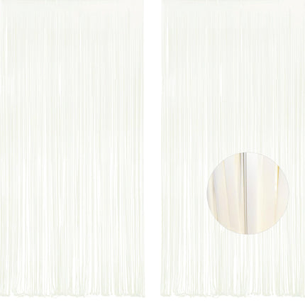 Iridescent Party Streamers Backdrop 3.2ft x 6.5ft 2 PCS