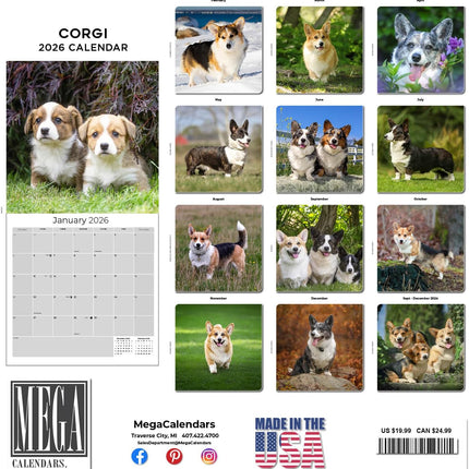Corgi Calendar 2026 by MegaCalendars – Monthly Dog Breed Wall Calendar, Made in USA