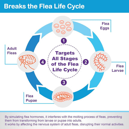 Topical Flea and Tick for Large Cats: Waterproof Topical Cat Flea and Tick – Fast-Acting & Long-Lasting at Home Control for Cats Over 9 lbs and 8 Weeks or Older – 6-Dose Supply