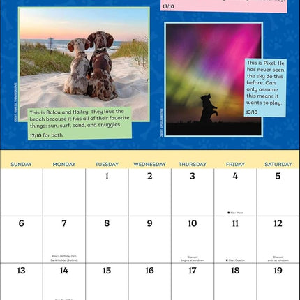 WeRateDogs 2027 Wall Calendar