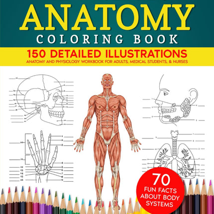 Human Anatomy Coloring Book: 150 Detailed Illustrations & 70 Fascinating Facts in an Anatomy and Physiology Workbook for Adults, Medical Students, & Nurses Focused on Advanced Body Systems Learning