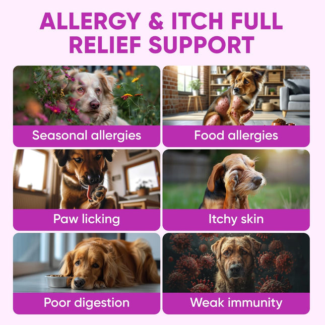 Dog Allergy Relief Chews for Itchy Skin - Seasonal and Food Allergy Chews