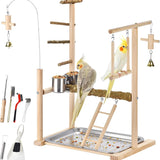 Natural Wood Parrot Playground Perch Stand with Cups