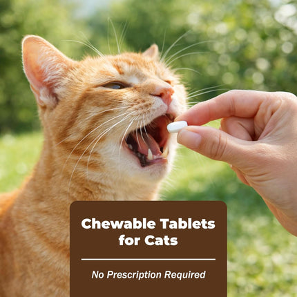 Tapeworm Dewormer (praziquantel Tablets) for Cats and Kittens 6 Weeks and Older, 50-Count
