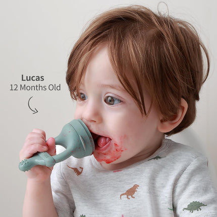 Baby Fruit Feeder Food Pacifier & Freezer Popsicle Mold for Teething - photo 6