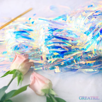 Iridescent Party Streamers Backdrop 3.2ft x 6.5ft 2 PCS