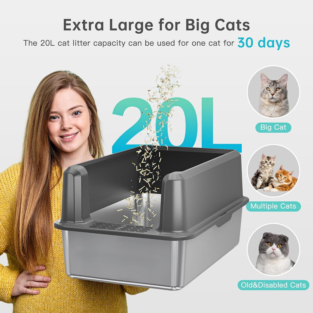 Enclosed Stainless Steel Cat Litter Box with Lid, XL Extra Large Litter Box for Big Cats, Metal Litter - photo 3