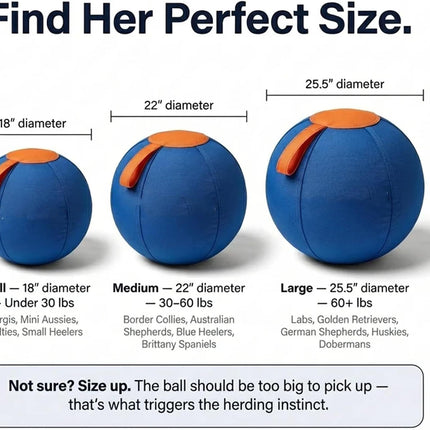 Ruckus Herding Ball, Herding Ball for Dogs, Extra-Large Enrichment Ball — Tear-Resistant, Includes Protective Cover and Air Pump, Available in Three Sizes to Suit All Dogs (color1, Medium)