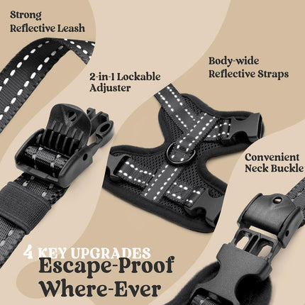 rabbitgoo Cat Harness and Leash, Escape Proof Vest with 3 Adjustable Buckles, Soft Comfortable Kitten Harness, Easy to Wear, Reflective for Safe Outdoor Walking, Medium, Black