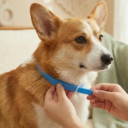 Calming Collars for Dogs, 30 Day Adjustable Fit, Daily All Day Wear Durable, for Small Medium Large Dogs (1)