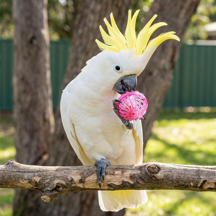 6pcs Foraging Ball Bird Toys, Feeder Toys Foot Talon Toy Chewing Training Rattle Bell Balls Parrot Cage Toys for Parakeets, Cockatiels, Conures, Love Birds and Other Small to Medium Birds