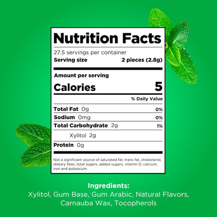 Gum | Aspartame Free Chewing Gum | 100% Xylitol | Natural Spearmint Flavored Gum, 55 Pieces (Pack of 1)
