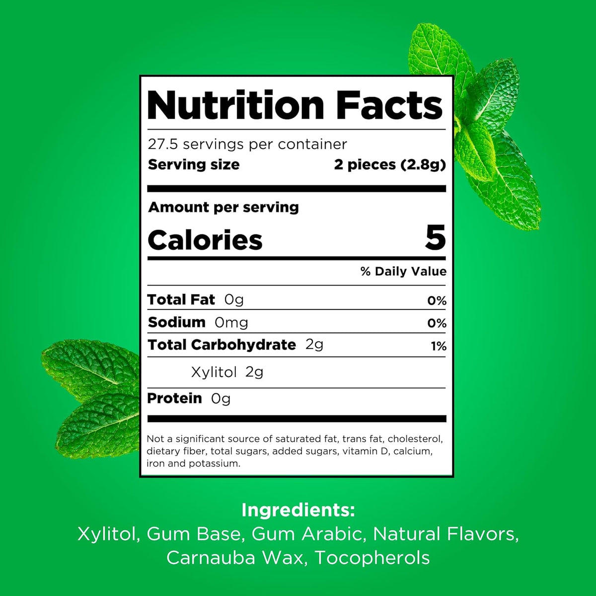 Gum | Aspartame Free Chewing Gum | 100% Xylitol | Natural Spearmint Flavored Gum, 55 Pieces (Pack of 1) - photo 3