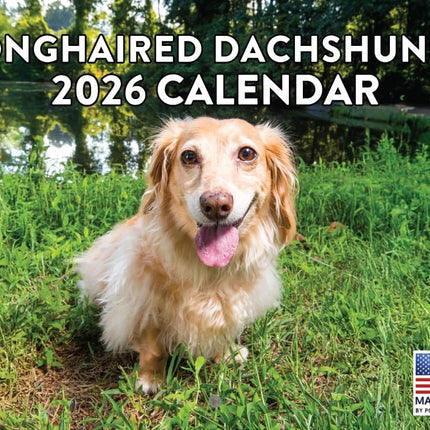 Long Haired Dachshund Calendar 2026 Longhaired Monthly Wall Calender 12 Month | American Made In The USA