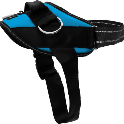 ShawnCo Essential Dog Harness, No-Pull Pet Vest with 3 Leash Clips, No Choke, Reflective, Adjustable and Padded, for Easy Walking and Training for Small, Medium and Large Dogs (Oceanic Blue, S)