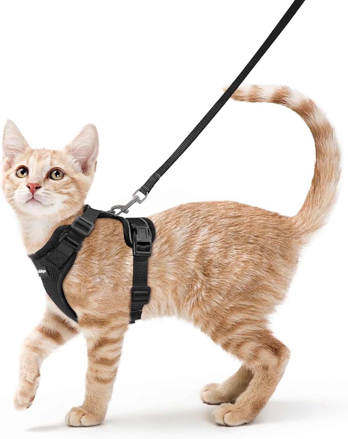 Cat Harness and Leash for Walking, Escape Proof Soft Adjustable Vest Harnesses for Cats, Easy Control Breathable
