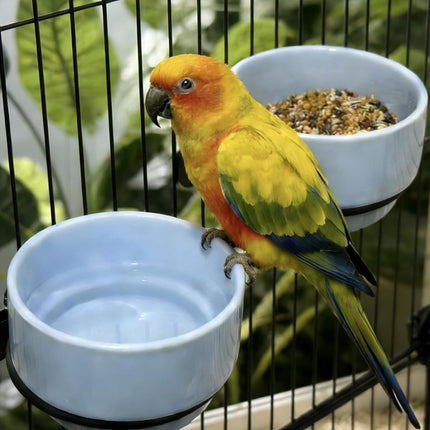 2 Pcs Bird Food Bowl Ceramic Bowls for Birds Small Parakeet Food Bowl Parrot Feeding Cups, Bird Cage Feeder for Parakeets Conure Cockatiels Lovebird Budgie (Blue)