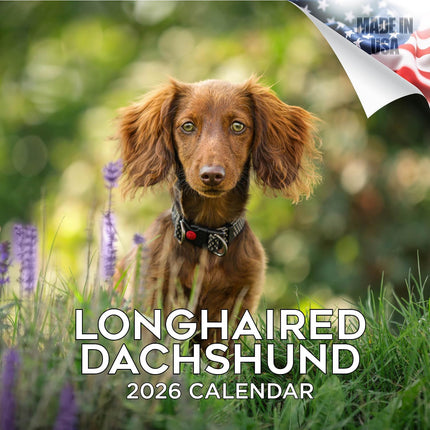 Longhaired Dachshund Calendar 2026 – 16-Month Dog Breed Wall Calendar by MegaCalendars – Large Daily Blocks, Thick No-Bleed Paper, Made in USA