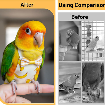 Bird Diaper, 6Pcs Reusable Parrot Diapers with Waterproof Inner - Washable Parrot Diapers for Indoor Parakeet Lovebird Canary (Medium)