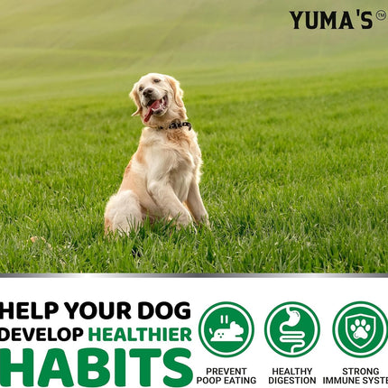 YUMA'S No Poo Chews for Dogs - 170 Count - Coprophagia & Stool Eating Deterrent for Dogs - Stop Eating Poop for Canine - Probiotics & Digestive Enzymes Supplement - Gut Health - Made in USA