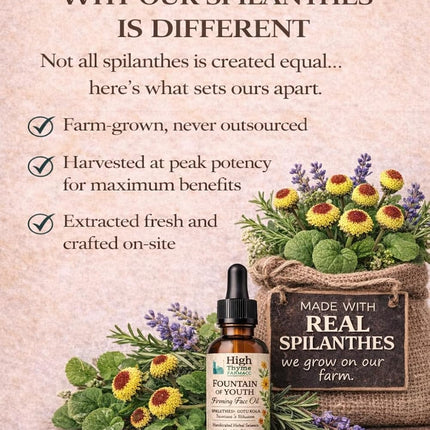 Paracress Facial Oil (Spilanthes Acmella) – Firming Face Oil with Gotu Kola – REAL Spilanthes Infused Oil You Can Feel – Anti Aging Botanical Skincare, 1 oz