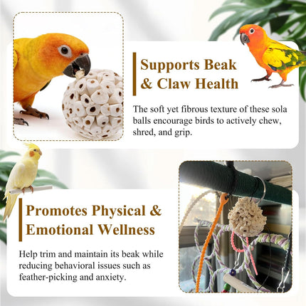 6PCS Natural Sola Balls Bird Chew Toys 2.36", Soft Shredding Biting Toy for Parakeets, Cockatiels, Budgies, Conures, Lovebirds & Small Pets