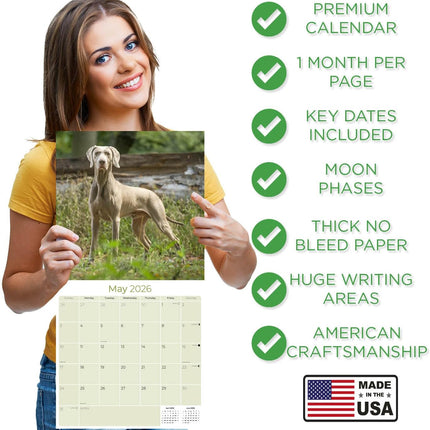 Weimaraner Calendar 2026 – 16-Month Dog Breed Wall Calendar by MegaCalendars – Large Daily Blocks, Thick No-Bleed Paper, Made in USA