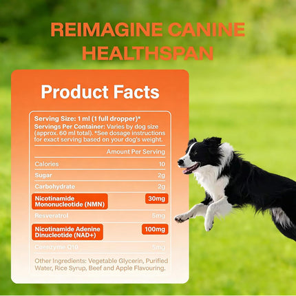 Dog Longevity Supplement with NMN, NAD+, CoQ10 & Resveratrol – Supports Joint Health, Vitality & Healthy Aging – 60-Day Nanoliposomal Drops for Better Absorption