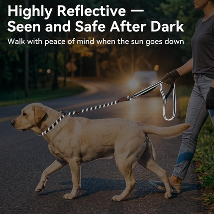 Slip Lead Dog Leash with Dual Handle, No Pull, Black, 6FT x 3/8"