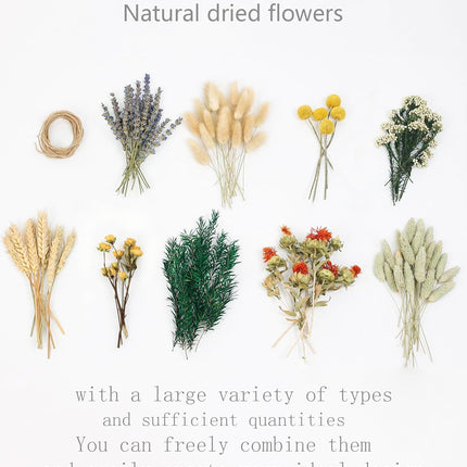 DIY Natural Dried Flower Set, Bulk Dried Flowers for Vase, Dried Flowers with Stems, Dried Roses, Mini Dried Flower Bouquets.(Brown)