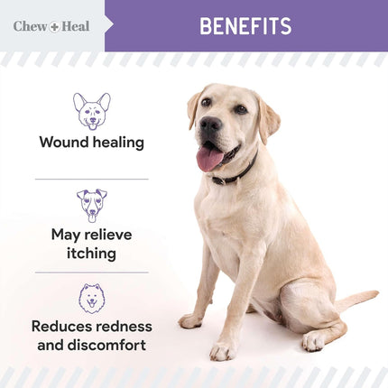 Chew + Heal Labs Hypochlorous Acid Lotion for Dogs – 2oz Dog Wound Spray for Cuts, Burns, Sores, Abrasions, and More – Non Toxic and Chemical Free Hot Spot Lotion – Made in the USA