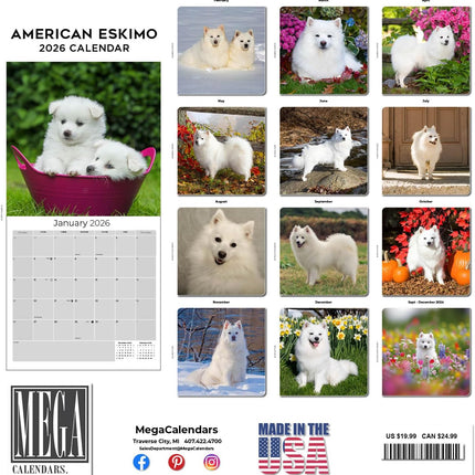 American Eskimo Calendar 2026 – 16-Month Dog Breed Wall Calendar by MegaCalendars – Large Daily Blocks, Thick No-Bleed Paper, Made in USA