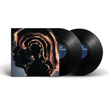 Hot Rocks 1964-1971[2 LP]
