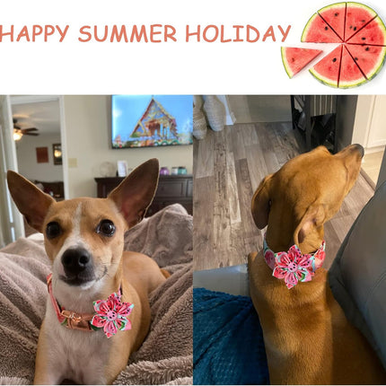 Unique style paws Dog Collar with Flower Tie Cotton Watermelon Collar Adjustable Summer Collar for Small Medium Large Dogs - M