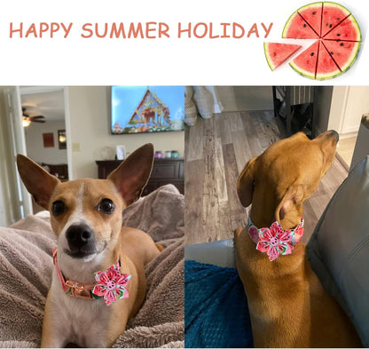 Dog Collar with Flower Tie Cotton Watermelon Collar Adjustable Summer Collar for Small Medium Large Dogs - photo 4