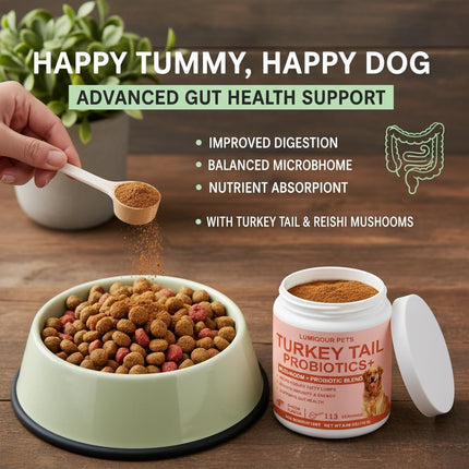 Lumiqour Turkey Tail for Dogs, Turkey Tail Mushroom Powder, Support Your Mature Dog’s Immunity, Gut, Skin, 3.99oz/PCS (1PCS)