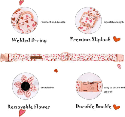 Valentine's Heart Dog Collar for X-Small Puppies - photo 4