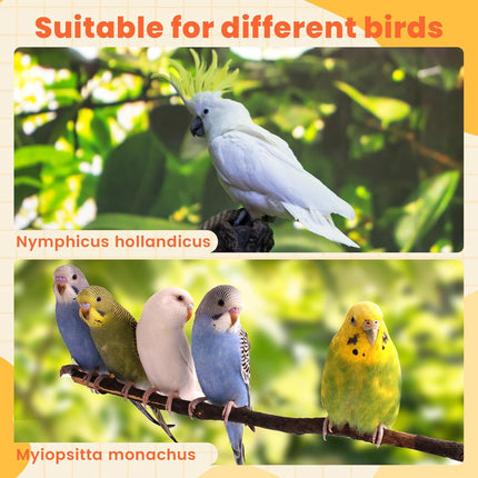 4 Pcs Bird Diaper, Parrot Diaper, Reusable Bird Clothes with Adjustable Straps & Waterproof Inner, Pet Bird Diapers for Budgies, Lovebirds, Cockatiels, and Miniature Macaws
