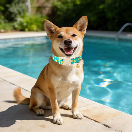 DOGWONG Ducky Pattern Cute Collar, Spring Summer Female Male Collars Pets Gift Adjustable Heavy-Duty Duck Pet Collars for Small Dogs, Neck 11-16 inches